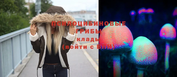 прущая мука Дмитров